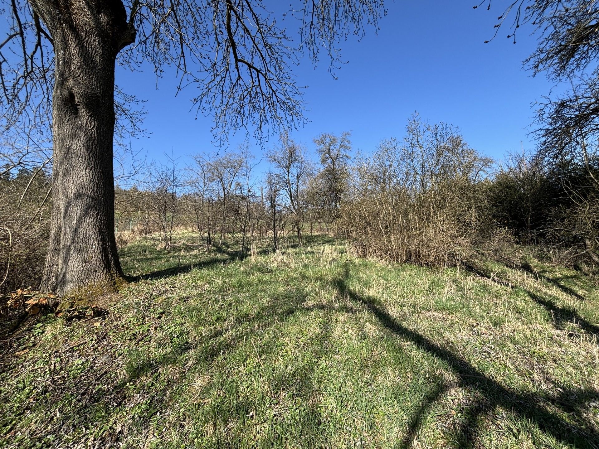 Pozemky pro bydlení, Dlažov, 1 179 m²