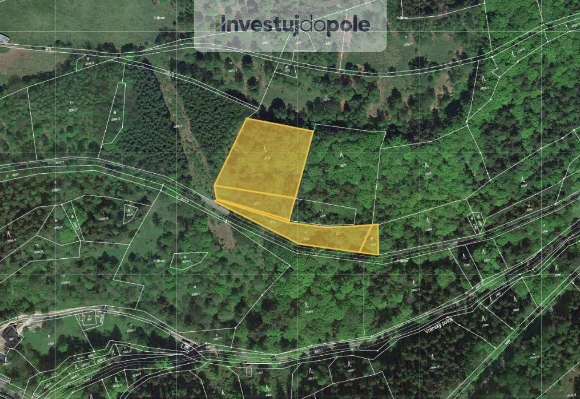 Prodej zemědělský pozemek - Vojtěšice, Jablonec nad Jizerou, 12 355 m²