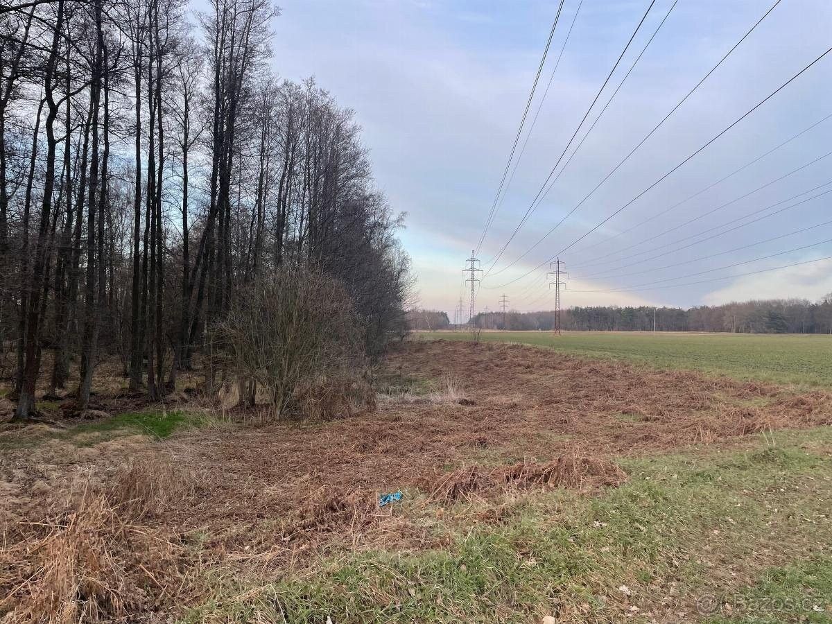 Prodej les - Lázně Bohdaneč, 533 41, 96 m²