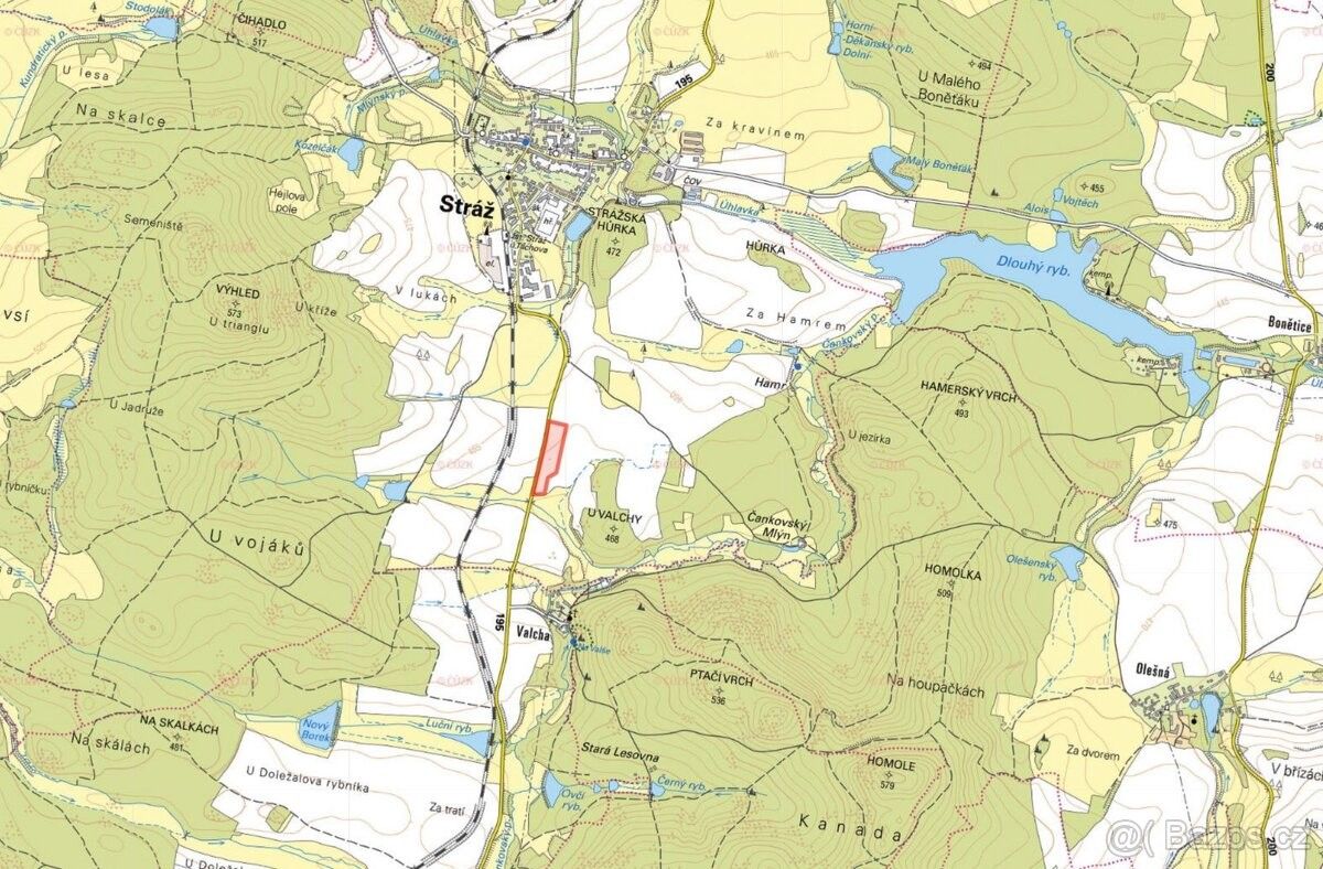 Prodej zemědělský pozemek - Bor u Tachova, 348 02