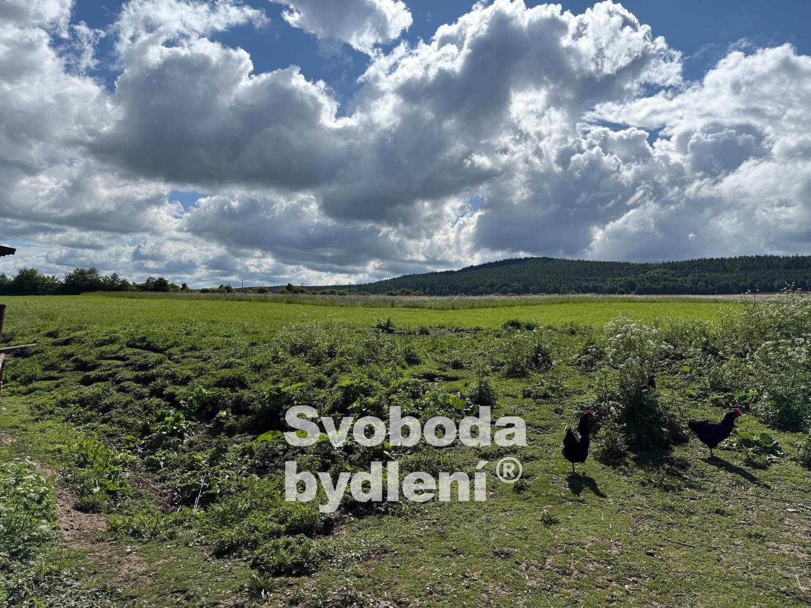 Prodej pozemek pro bydlení - Rpety, 1 663 m²