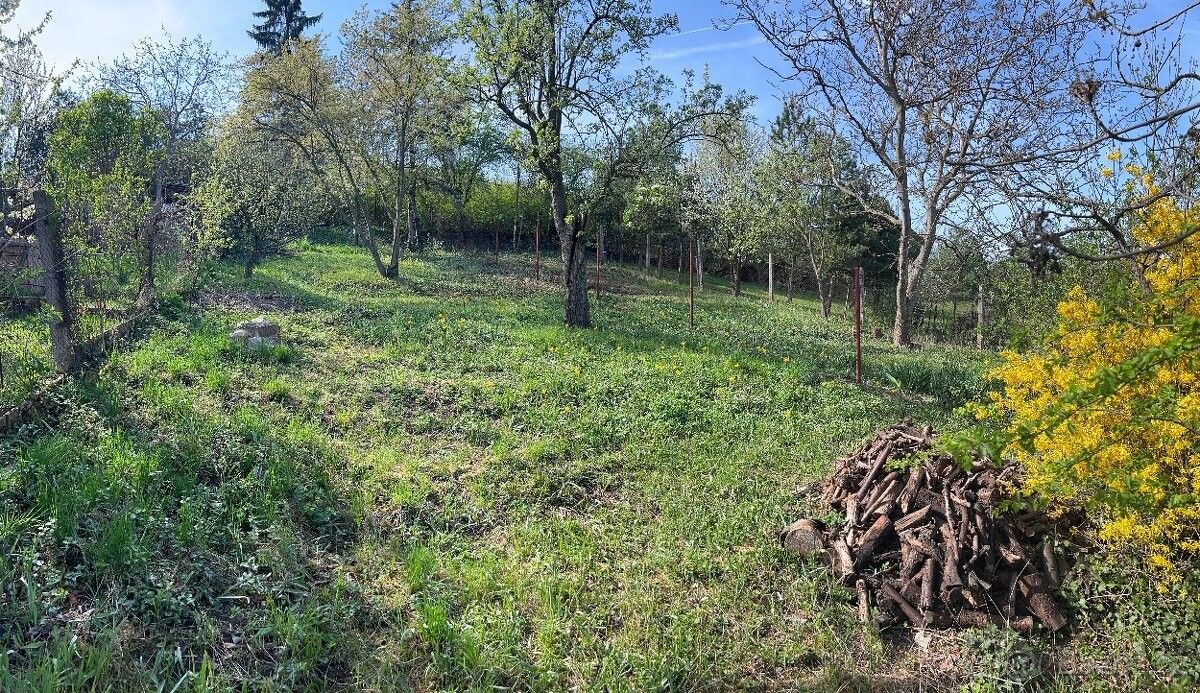 Prodej pozemek - Raná u Loun, 439 24, 1 004 m²