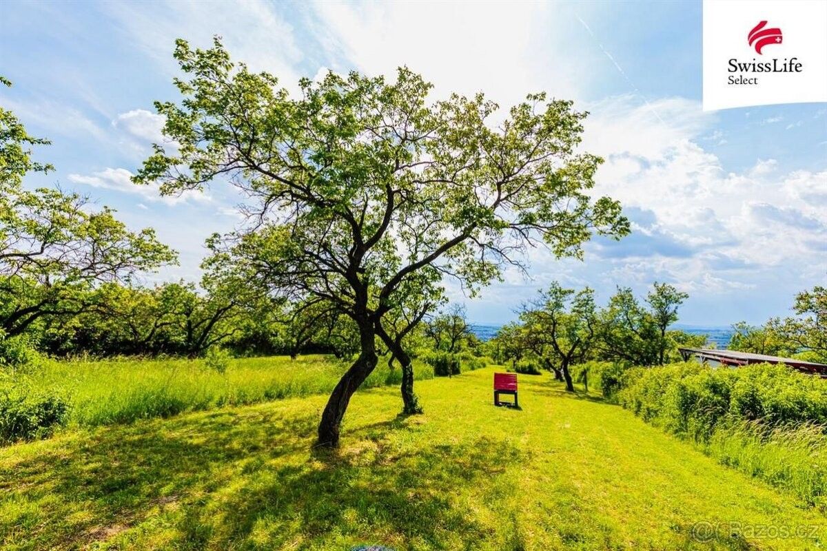 Prodej zemědělský pozemek - Židlochovice, 667 01, 3 876 m²