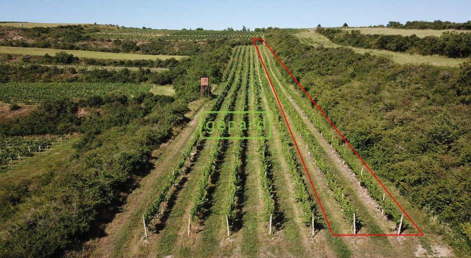 Ostatní, Hustopeče u Brna, 693 01, 2 166 m²