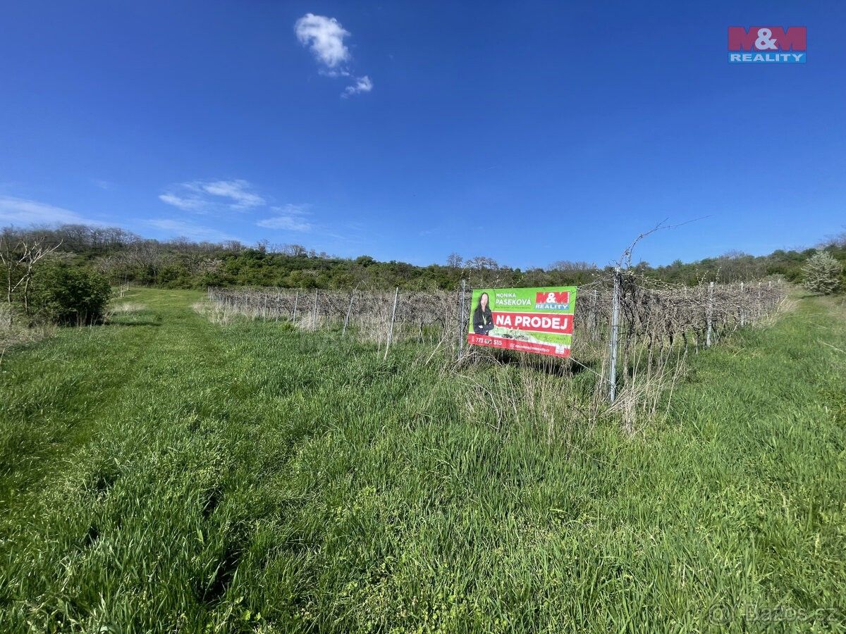 Prodej pozemek - Sedlec u Mikulova, 691 21, 9 215 m²