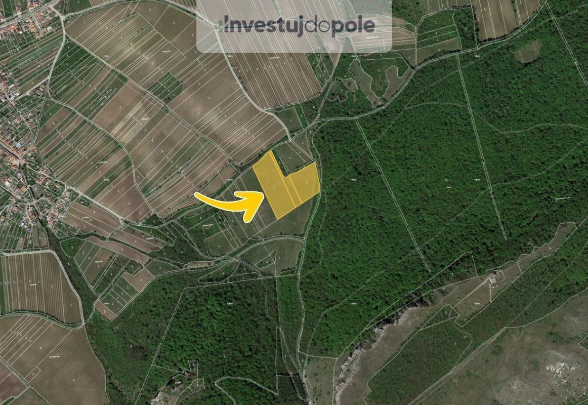 Prodej louka - Horní Věstonice, 24 706 m²