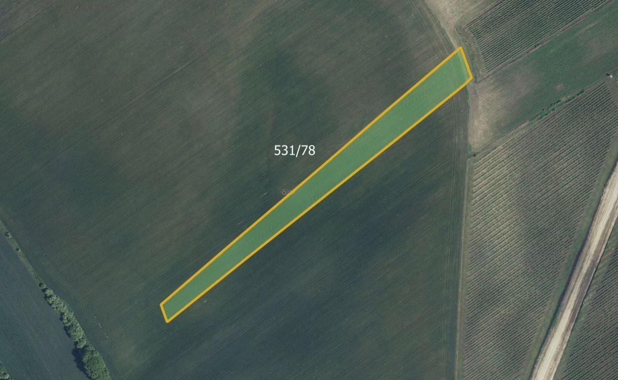Zemědělské pozemky, Nový Poddvorov, 24 780 m²