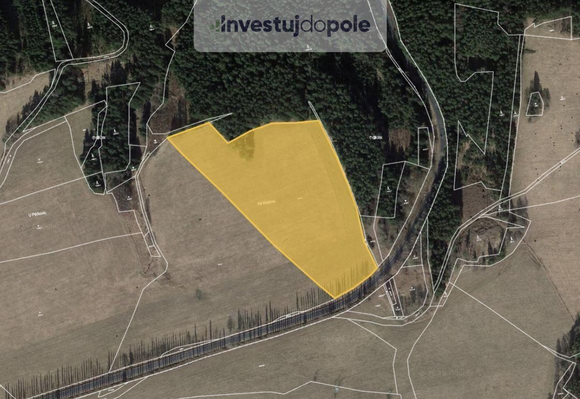 Zemědělské pozemky, Kojšovice, Toužim, 37 178 m²
