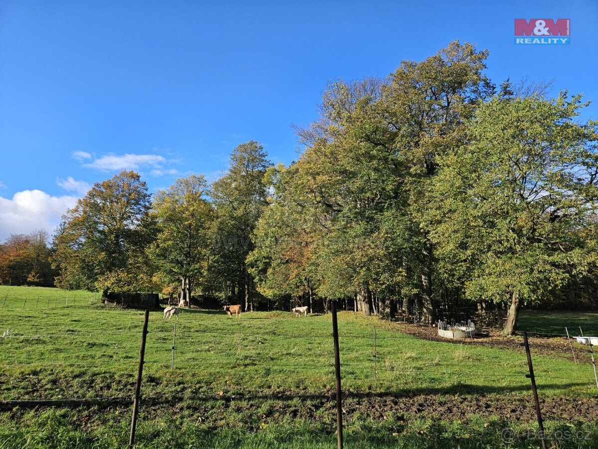Ostatní, Zlaté Hory v Jeseníkách, 793 76, 2 133 m²