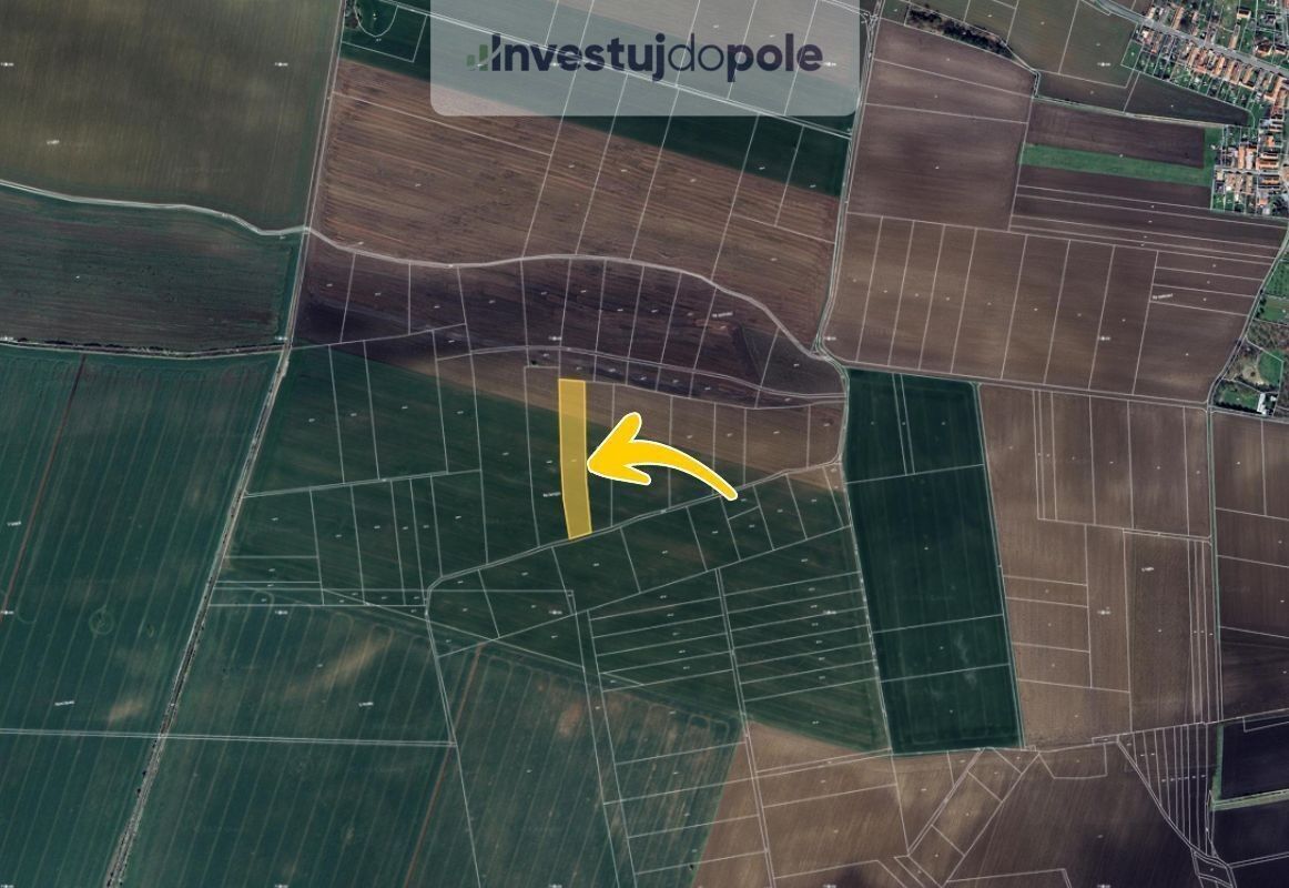 Prodej zemědělský pozemek - Čilec, 7 790 m²