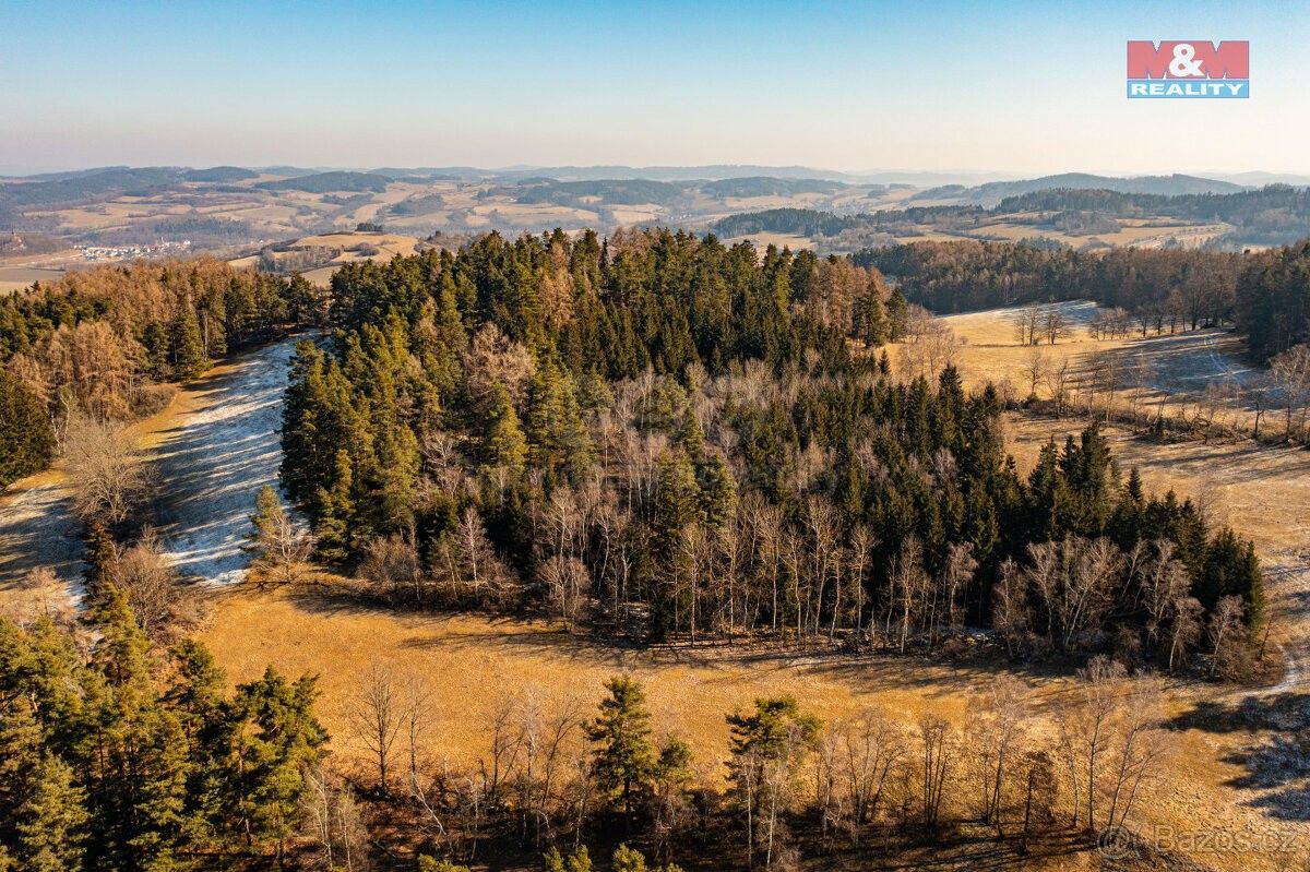 Prodej les - Volyně, 387 01, 42 761 m²