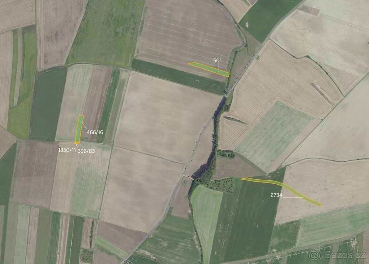 Prodej zemědělský pozemek - Městec Králové, 289 03