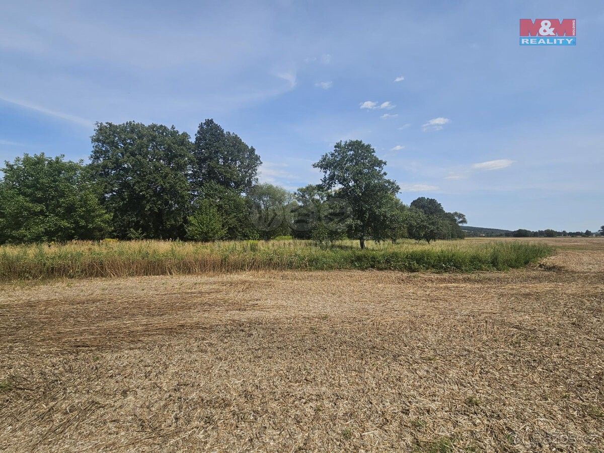 Prodej louka - Krnov, 794 01, 2 362 m²
