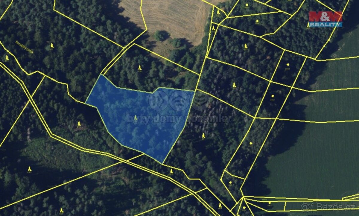 Prodej les - Doubravník, 592 61, 11 616 m²