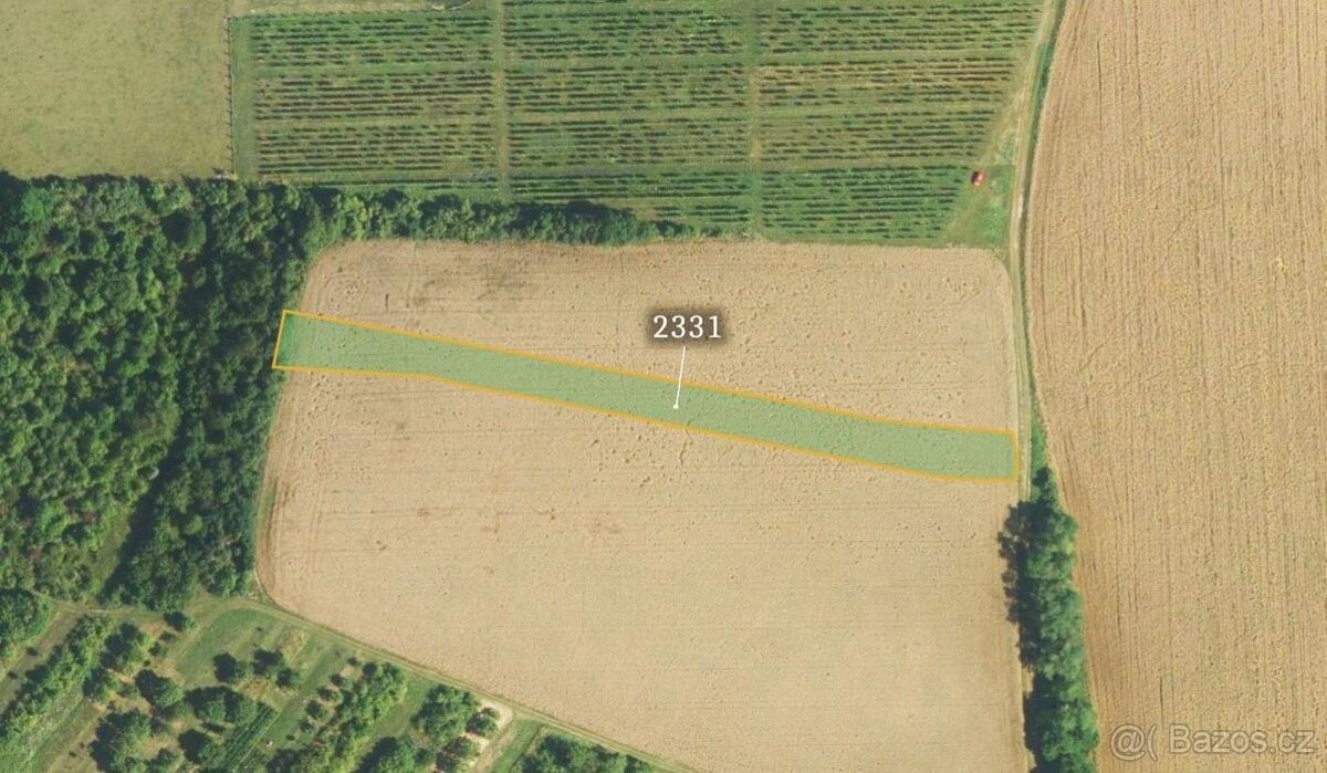 Ostatní, Boleradice, 691 12, 6 736 m²