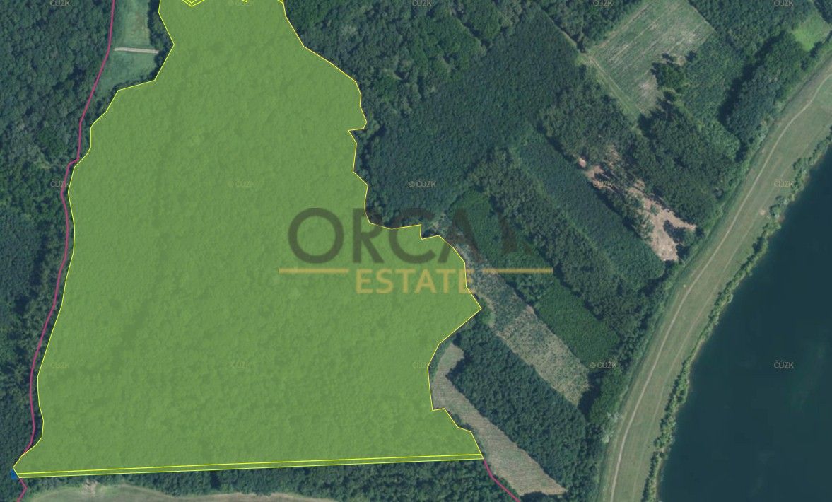 Prodej les - Uherské Hradiště, 686 01, 58 008 m²