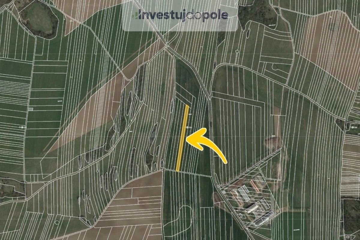 Prodej zemědělský pozemek - Ostrov u Macochy, 3 708 m²
