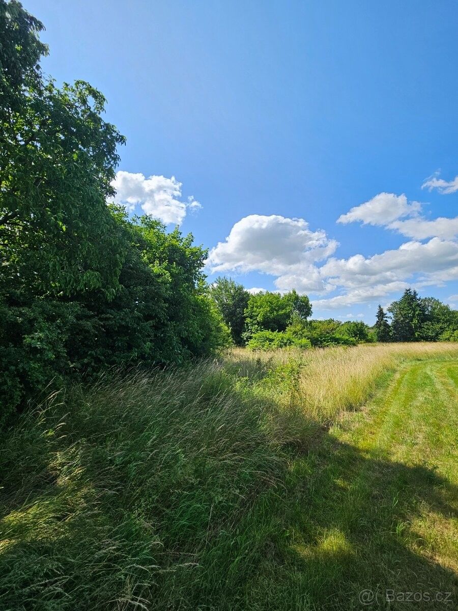 Louky, Olomouc, 779 00, 892 m²
