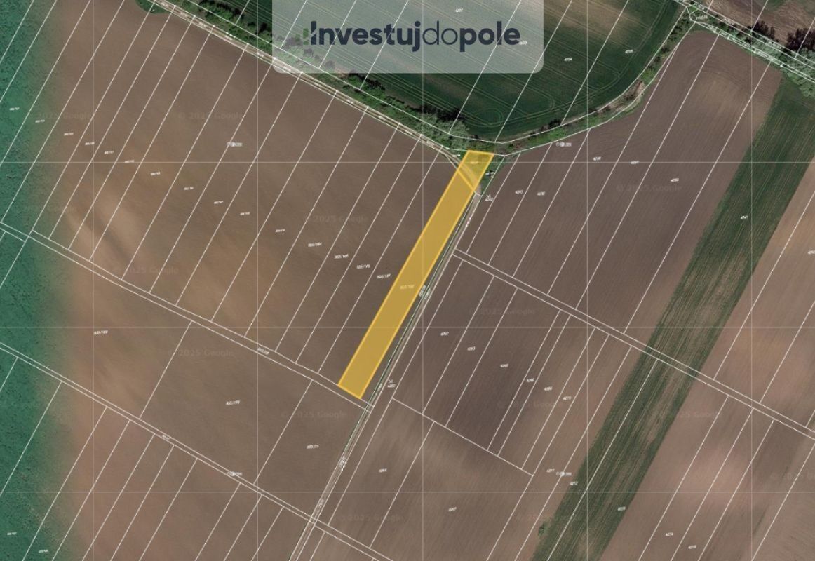 Zemědělské pozemky, Břeclav, 2 441 m²