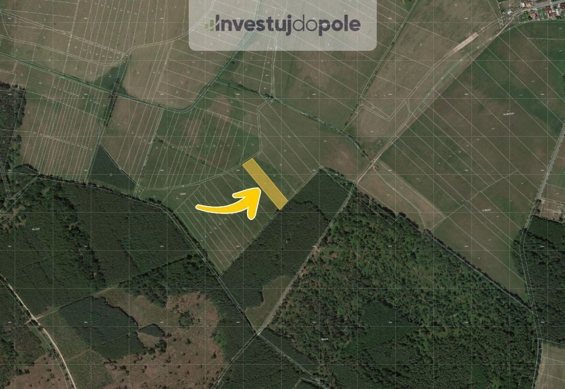 Prodej louka - Kolesa, Kladruby nad Labem, 3 413 m²