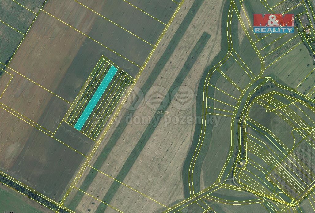 Prodej zemědělský pozemek - Pasohlávky, 691 22, 5 910 m²