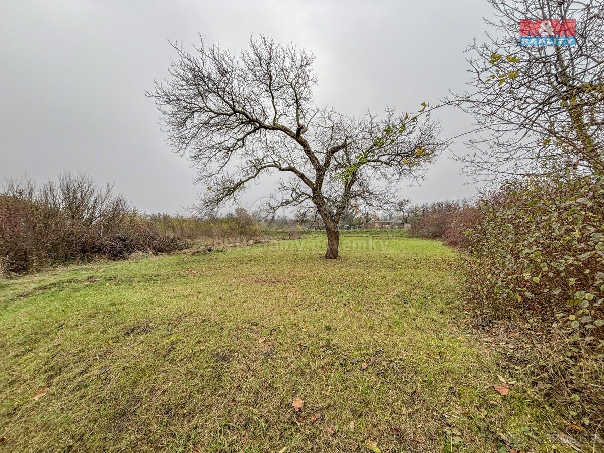 Zemědělské pozemky, Třebenice, 411 13, 468 m²