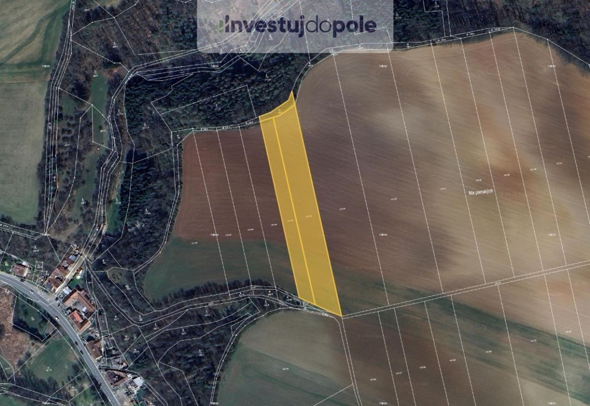 Zemědělské pozemky, Slatinka, Letovice, 10 583 m²