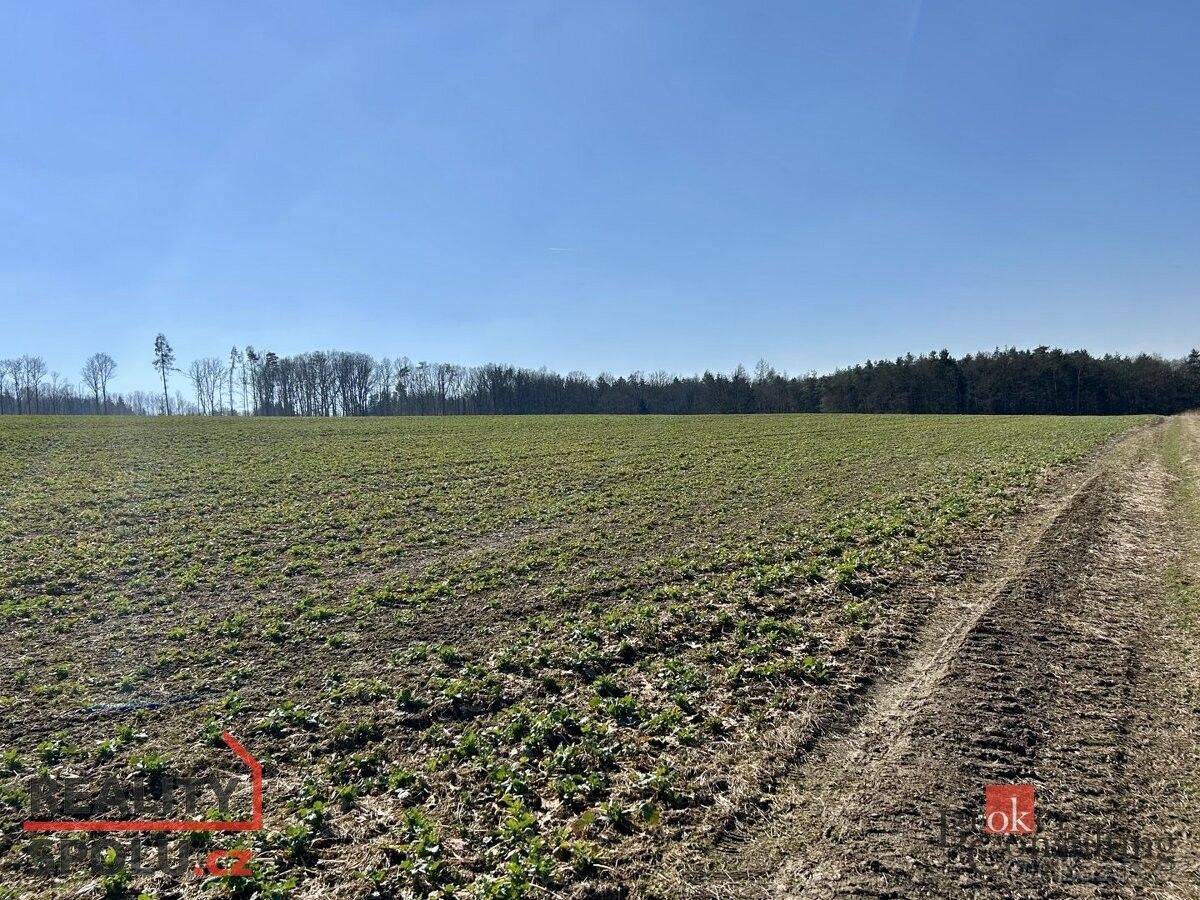 Zemědělské pozemky, Břasy, 338 24, 44 570 m²