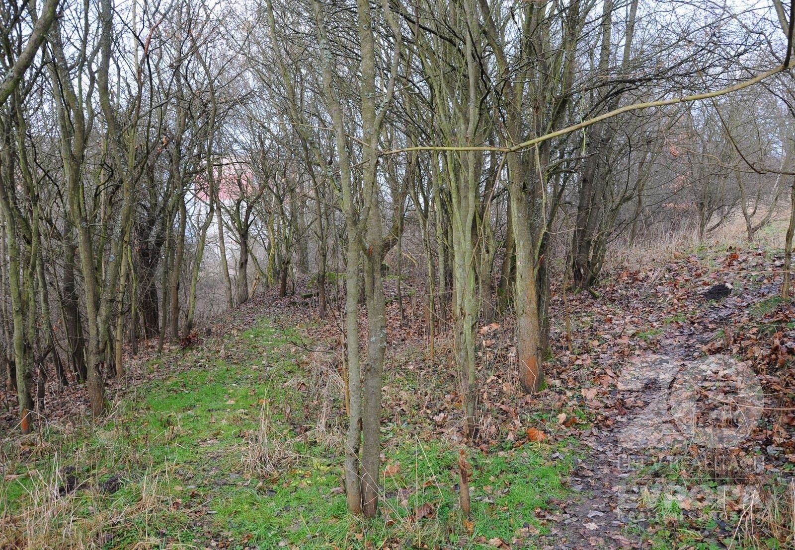 Prodej louka - Kosmonautů, Děčín, 4 672 m²