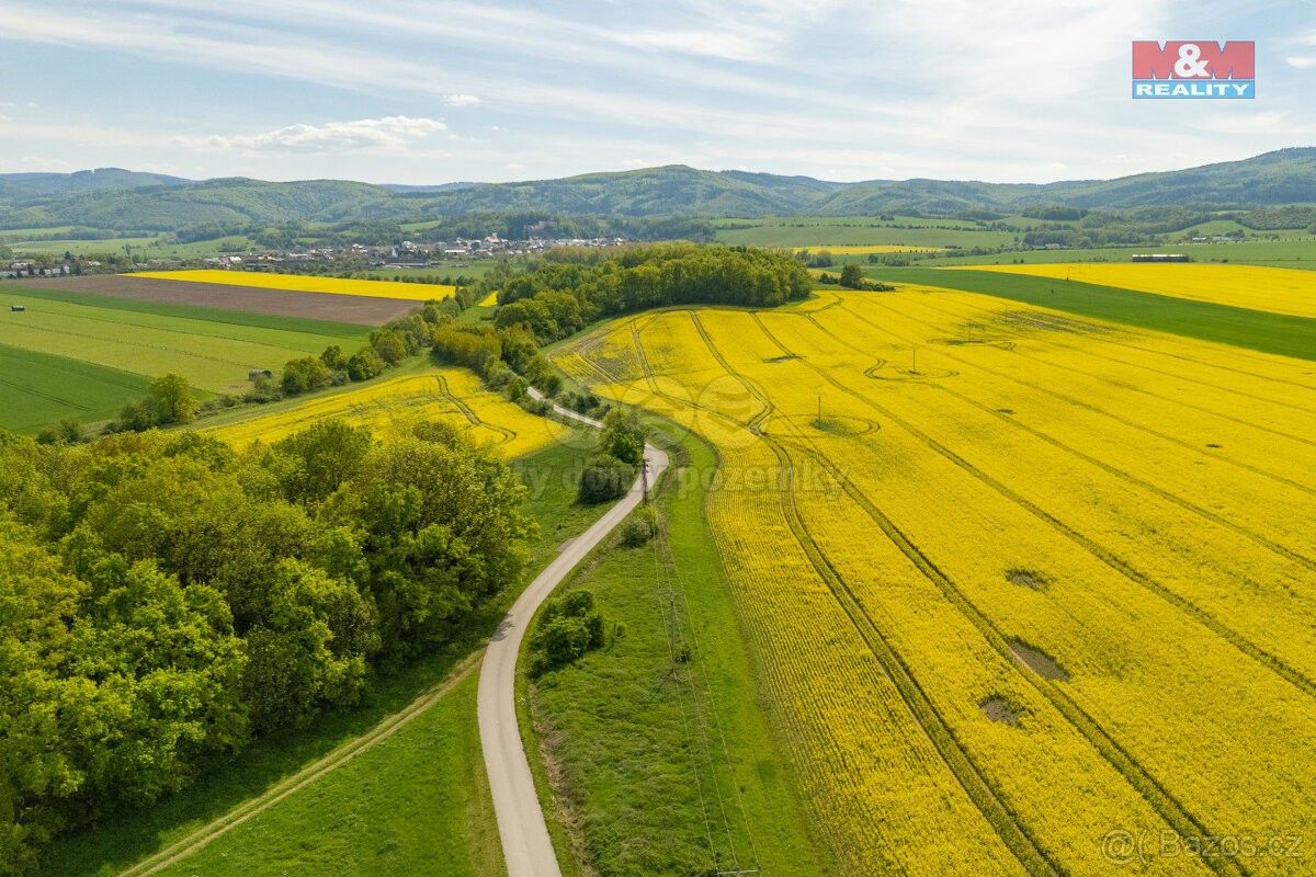 Prodej zemědělský pozemek - Javorník u Jeseníku, 790 70, 2 451 m²
