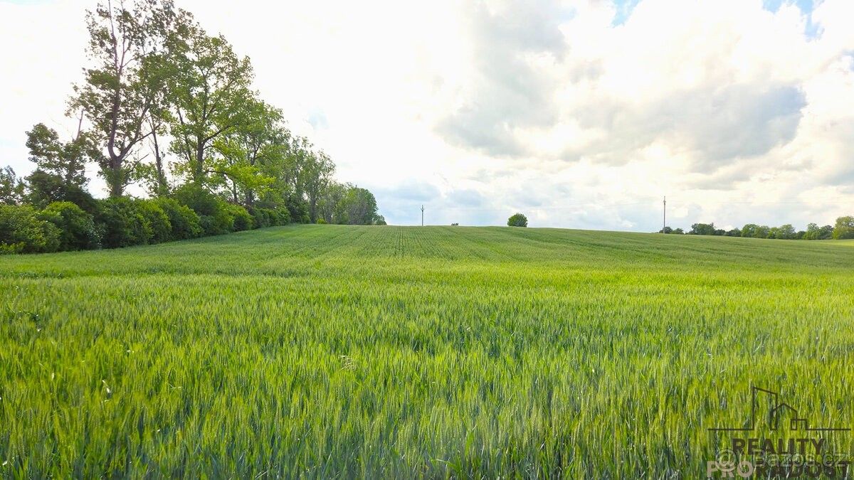 Prodej les - Kyjov, 697 01, 2 649 m²