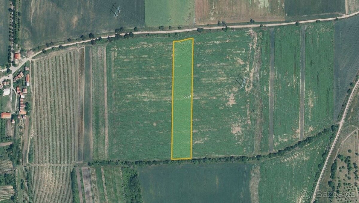 Zemědělské pozemky, Milotice u Kyjova, 696 05