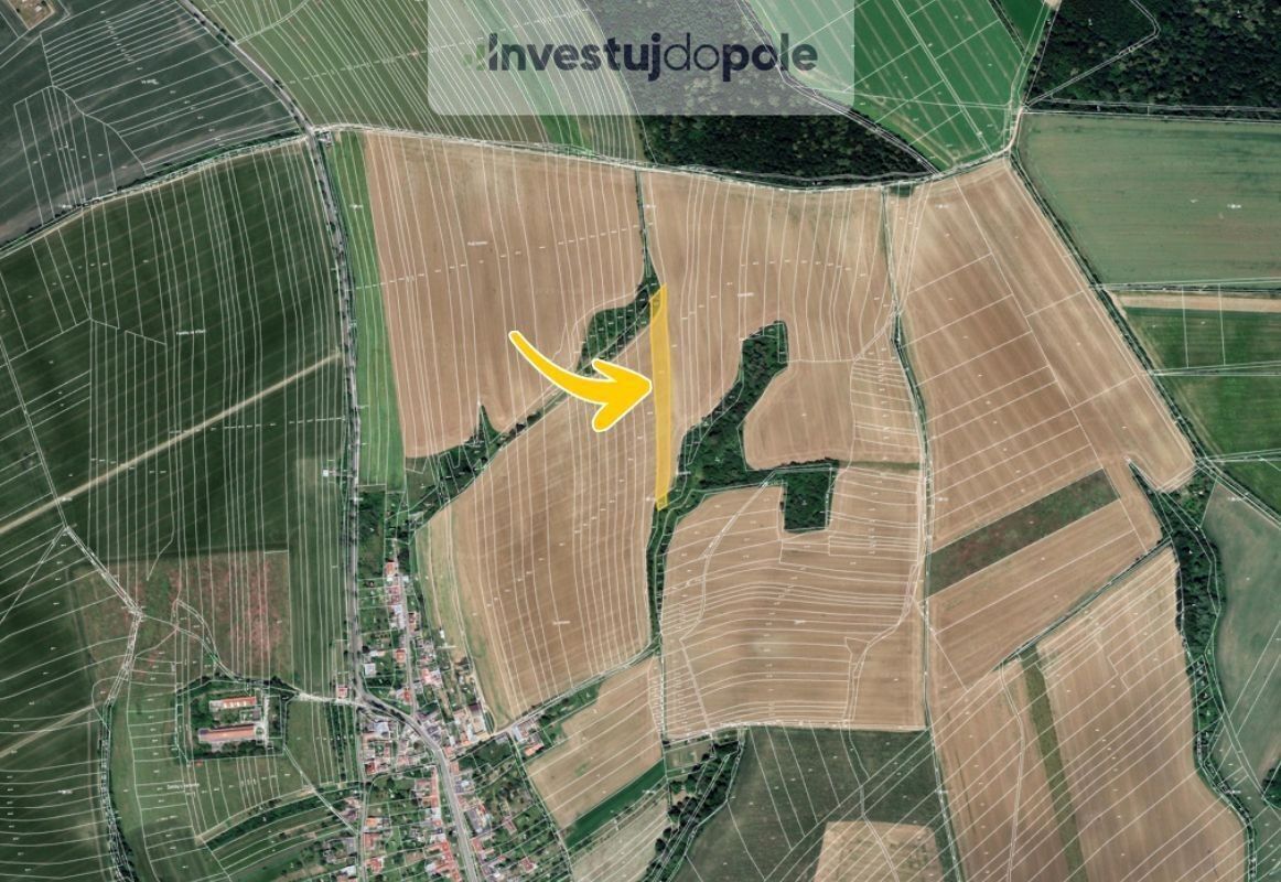 Prodej zemědělský pozemek - Medlov, Zborovice, 5 441 m²