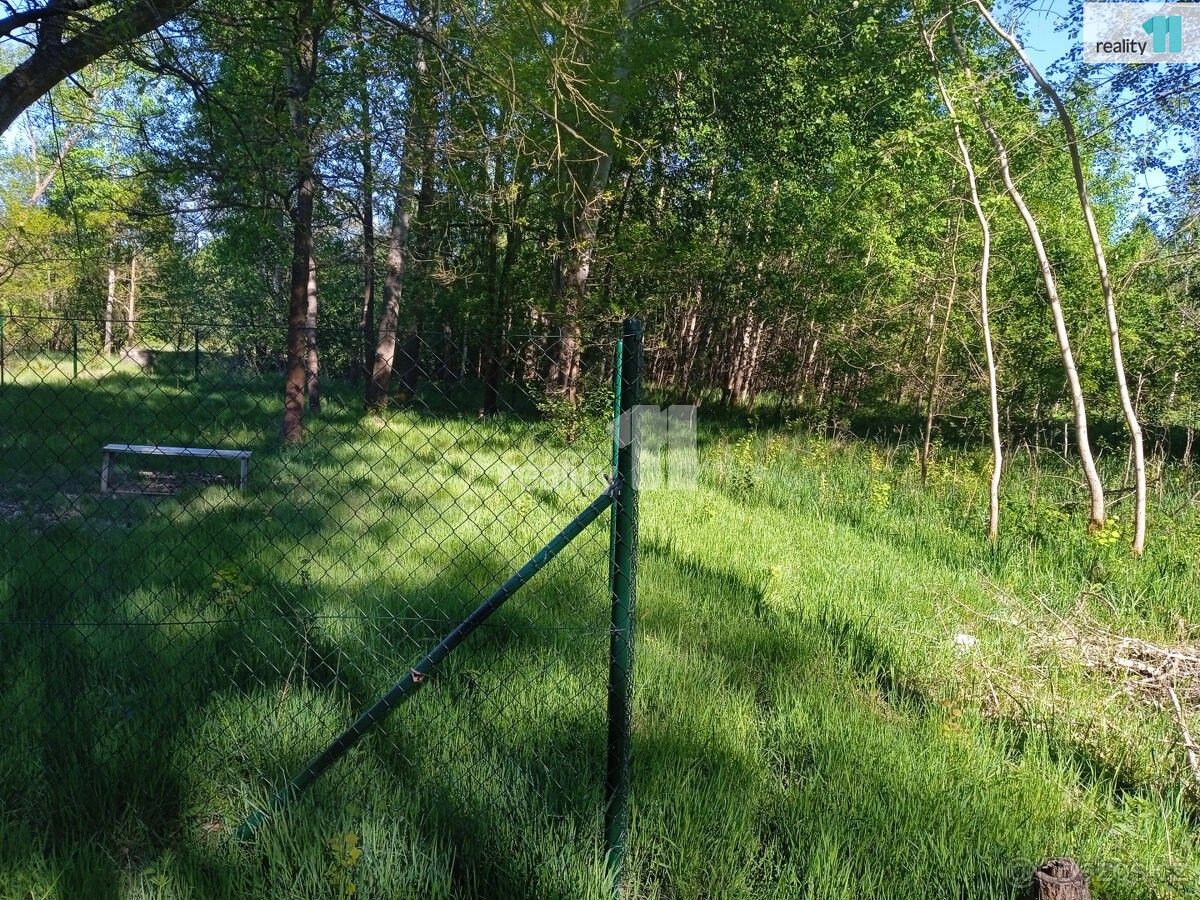 Prodej zahrada - Česká Lípa, 470 01, 870 m²