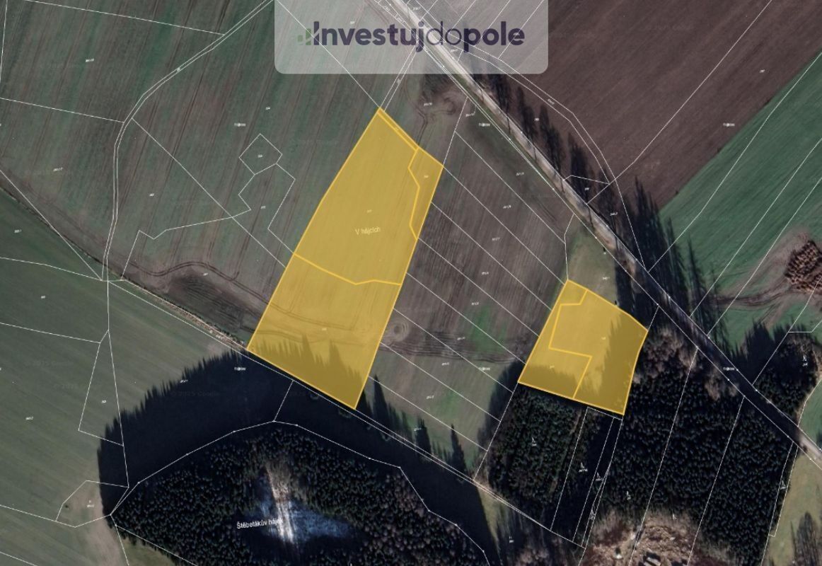 Prodej zemědělský pozemek - Prostý, Počátky, 45 266 m²