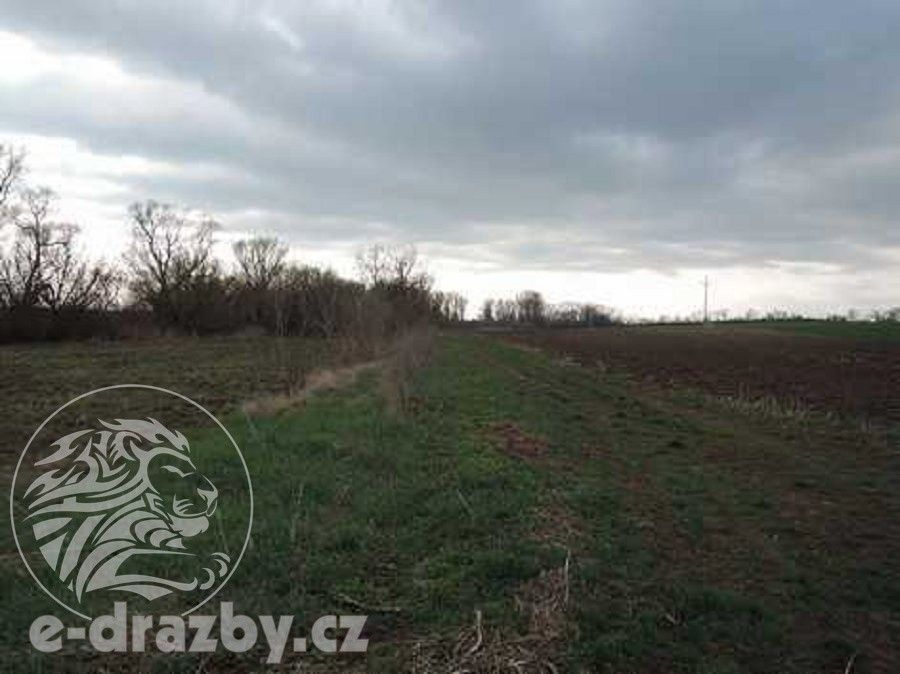 Zemědělské pozemky, Troskotovice, 9 776 m²