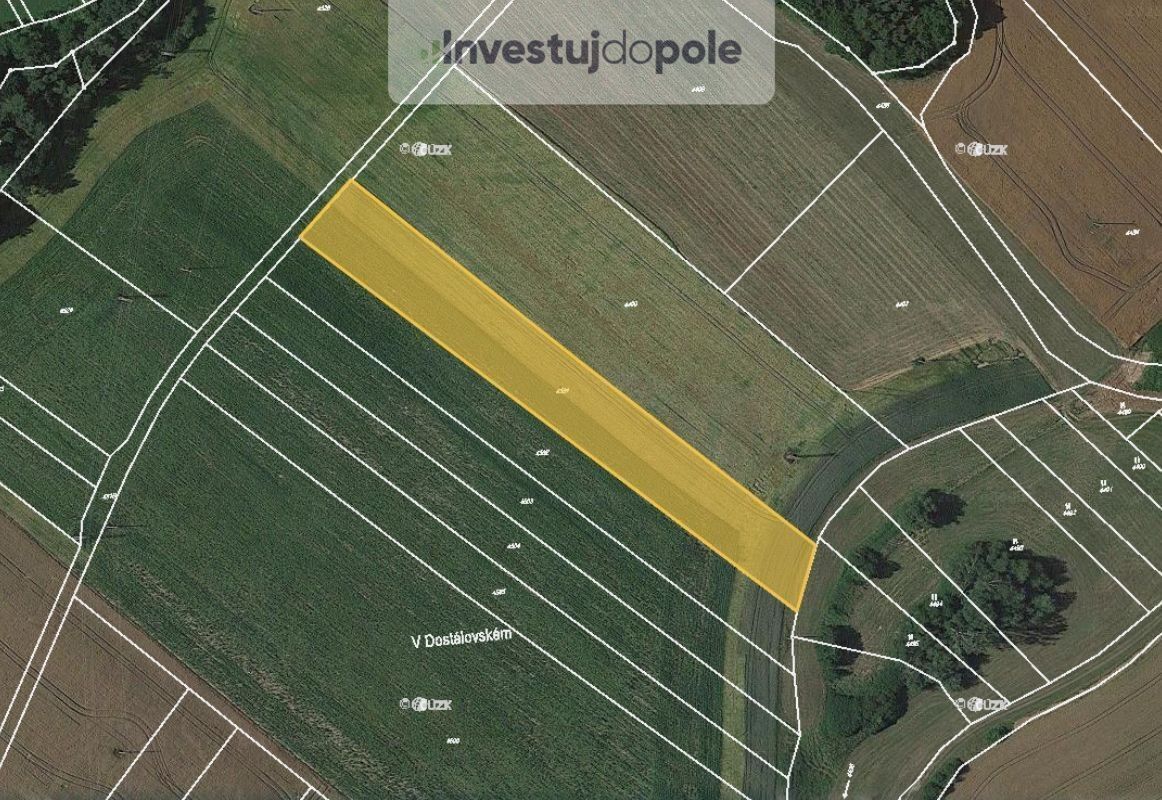 Zemědělské pozemky, Konice, 5 560 m²