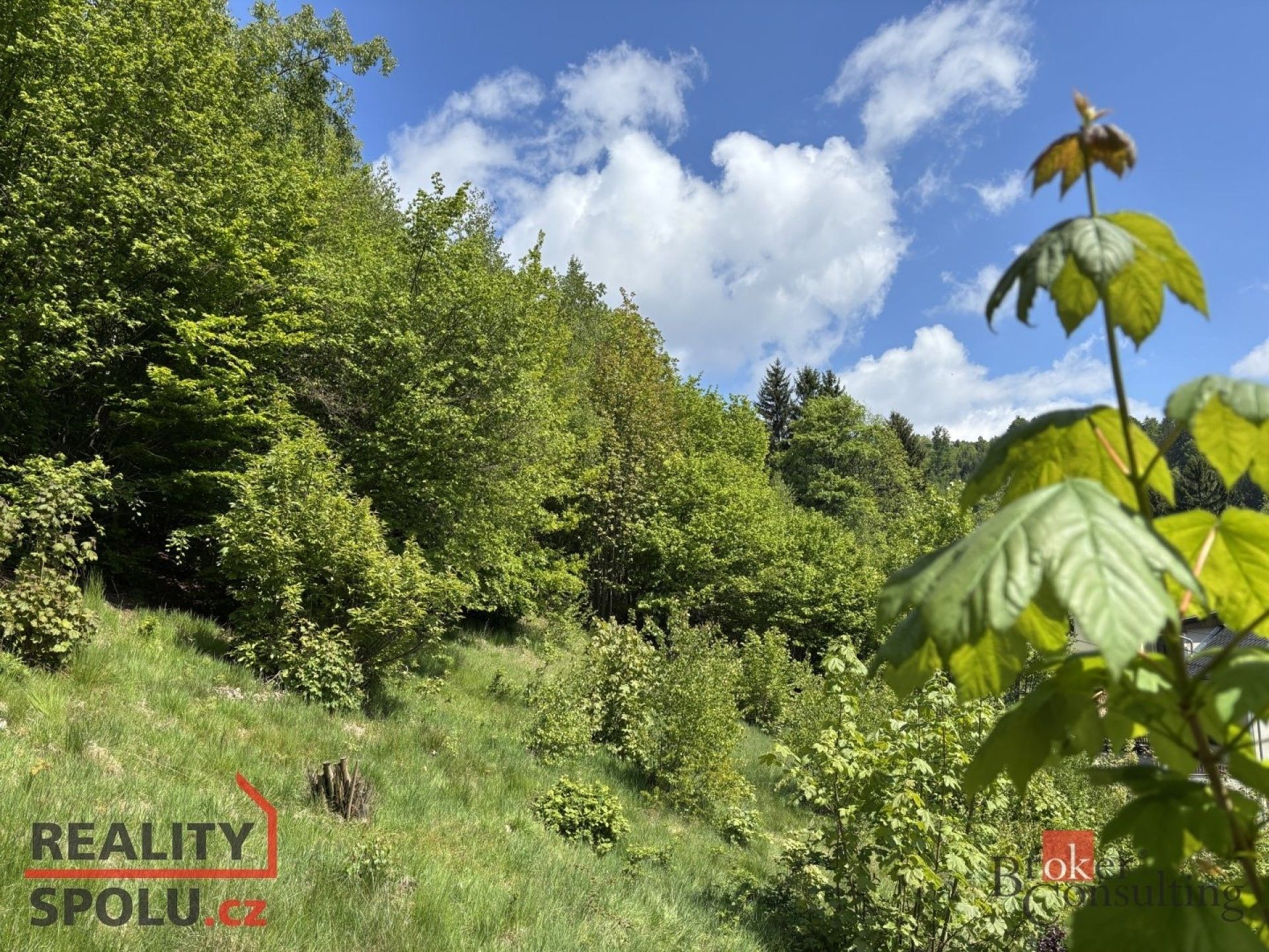 Prodej pozemek pro bydlení - Hraničná, Janov nad Nisou, 1 161 m²