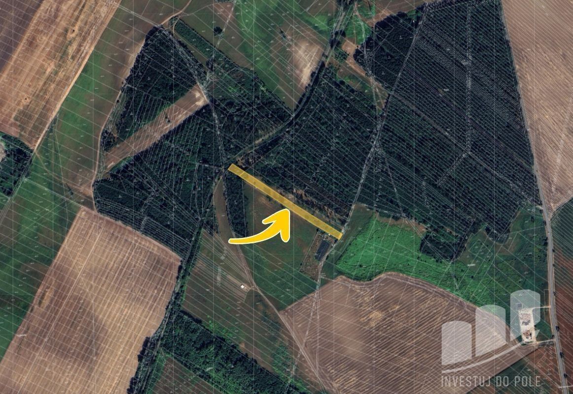 Prodej zemědělský pozemek - Dubňany, 2 598 m²