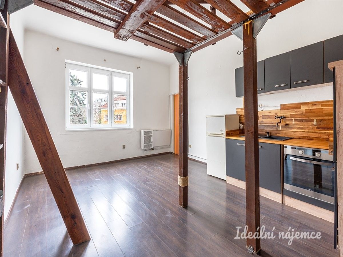 1+kk, Prostřední, Praha, 25 m²