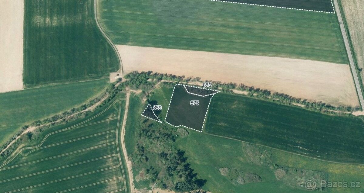Prodej les - Břasy, 338 24, 18 718 m²