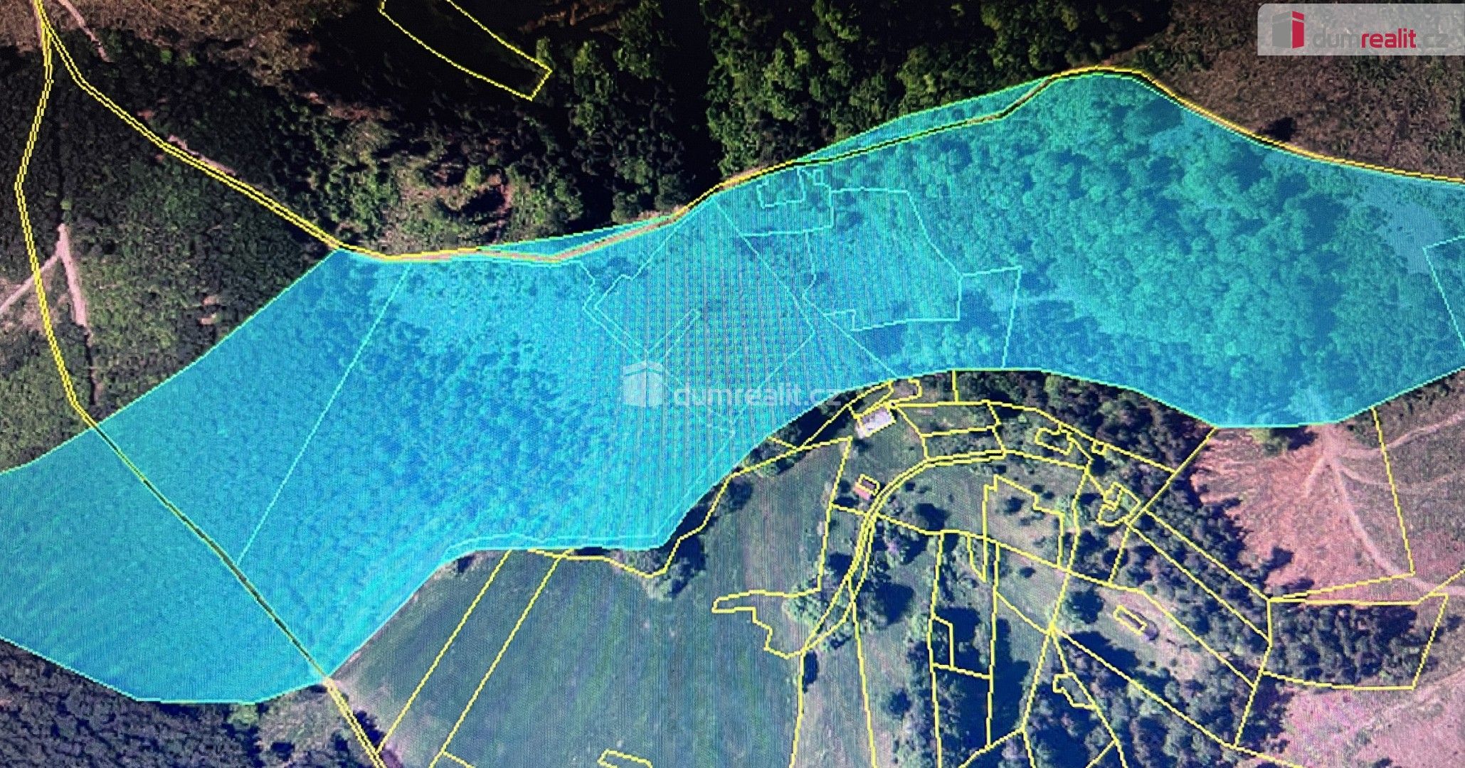 Prodej les - Valašská Bystřice, 106 600 m²