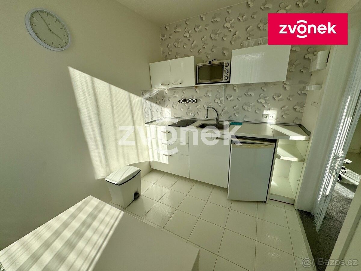 1+1, Zlín, 760 05, 33 m²