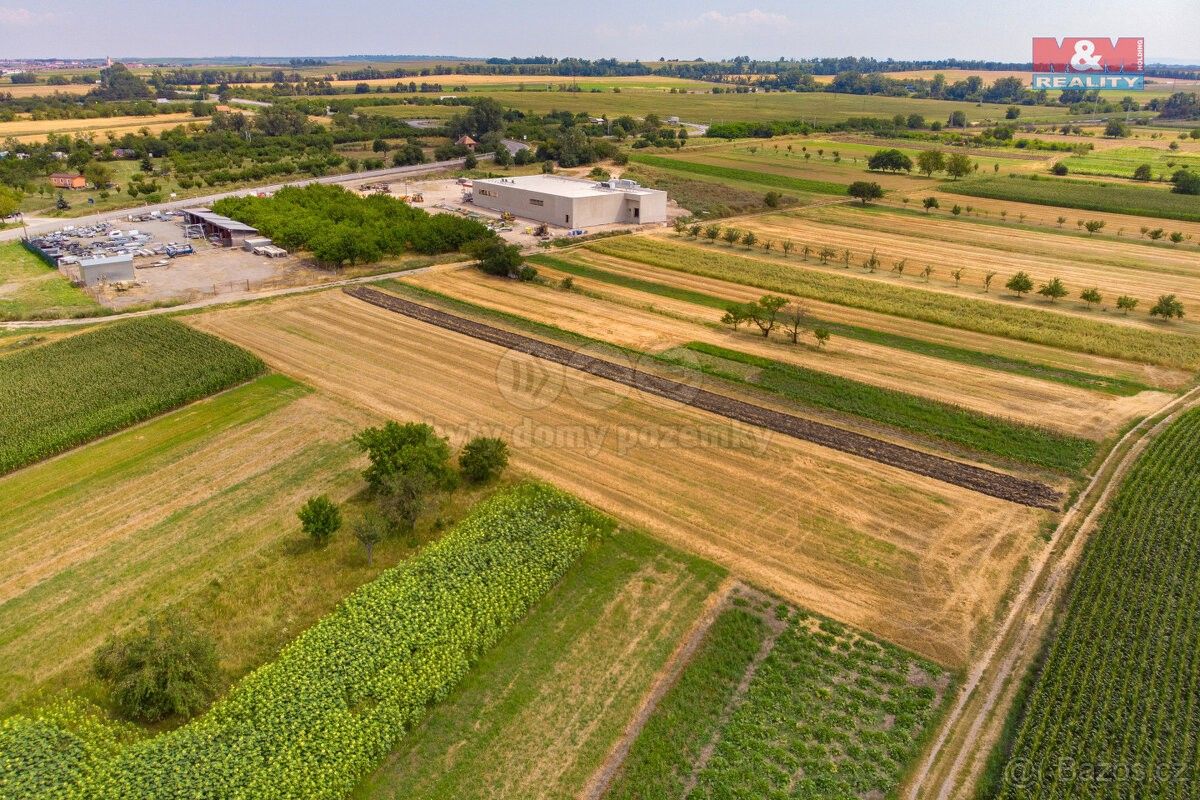 Zemědělské pozemky, Podivín, 691 45, 2 005 m²