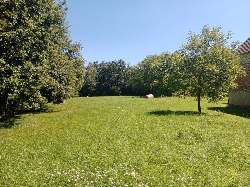Pozemky pro bydlení, Dubné, 373 84, 2 325 m²