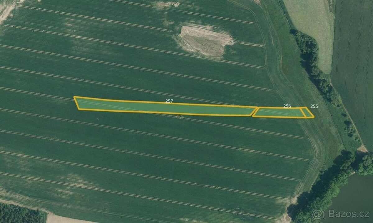 Prodej zemědělský pozemek - Kardašova Řečice, 378 21