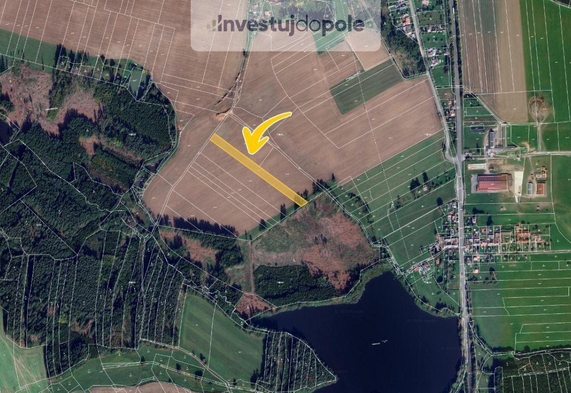 Prodej zemědělský pozemek - Vodná, Kamenice nad Lipou, 6 113 m²