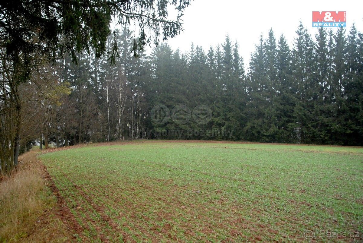 Prodej zemědělský pozemek - Lomnice nad Popelkou, 512 51, 2 465 m²