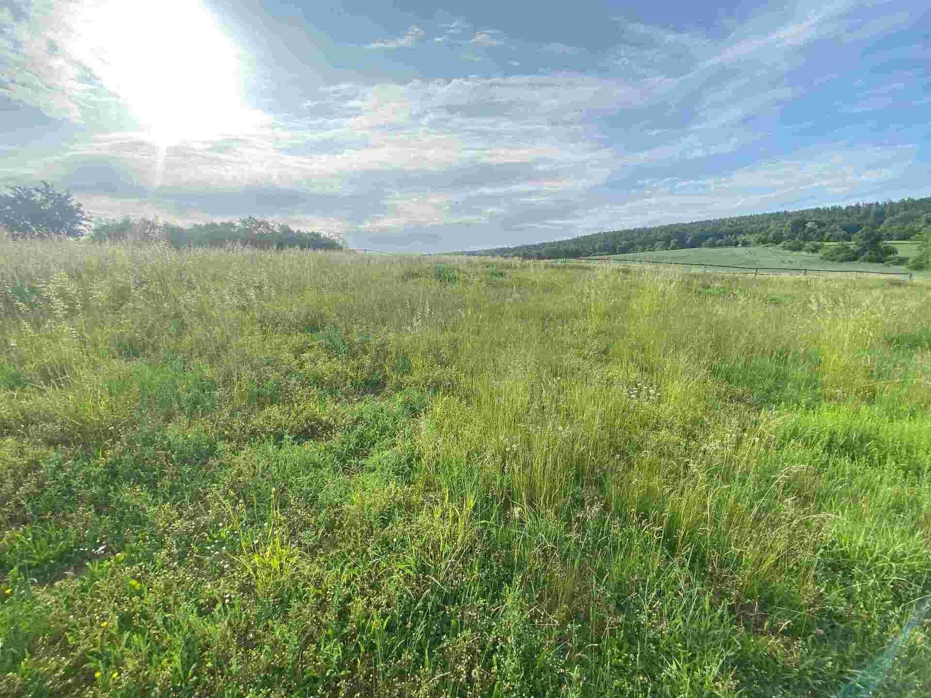 Ostatní, Petrovice, 5 404 m²