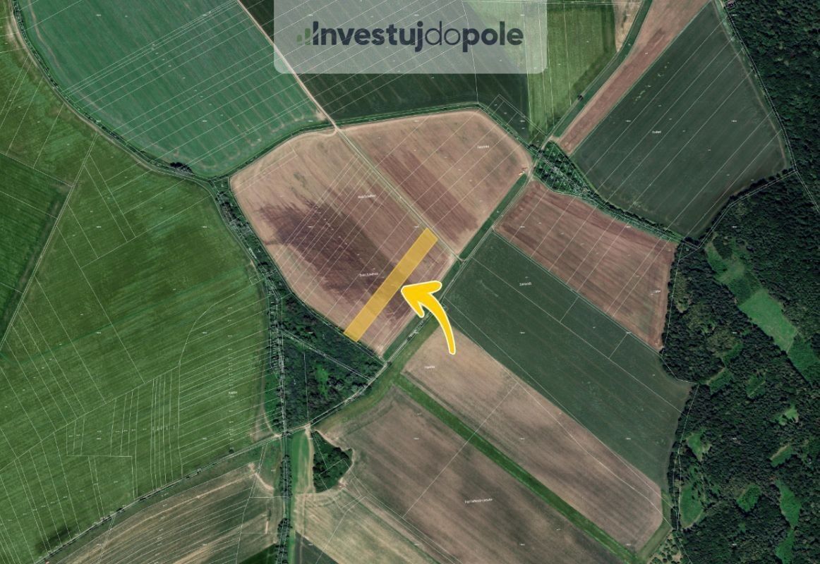 Prodej zemědělský pozemek - Počenice, Počenice-Tetětice, 3 619 m²